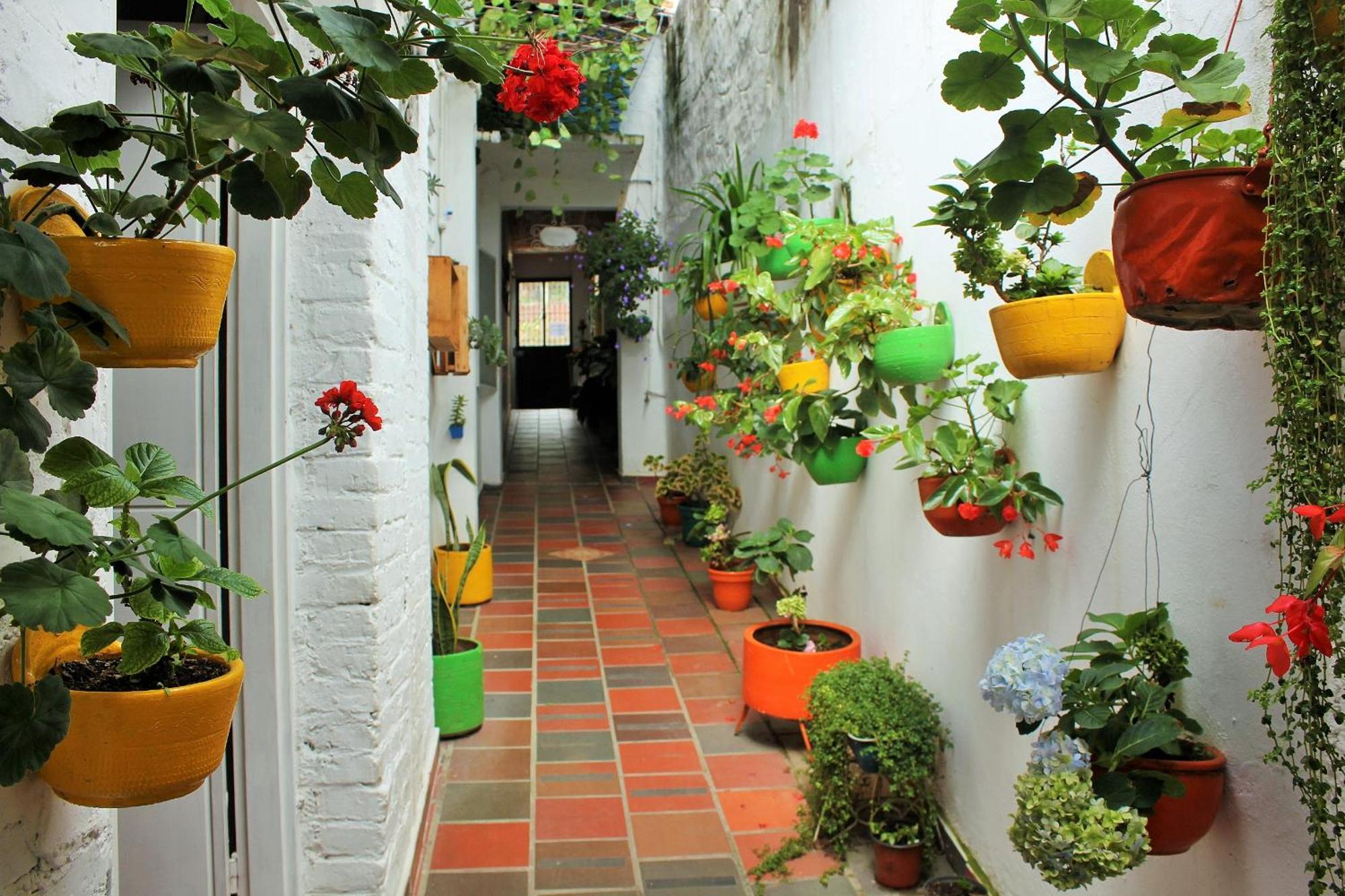 Hospedaje Los Capuchinos Socorro Eksteriør billede